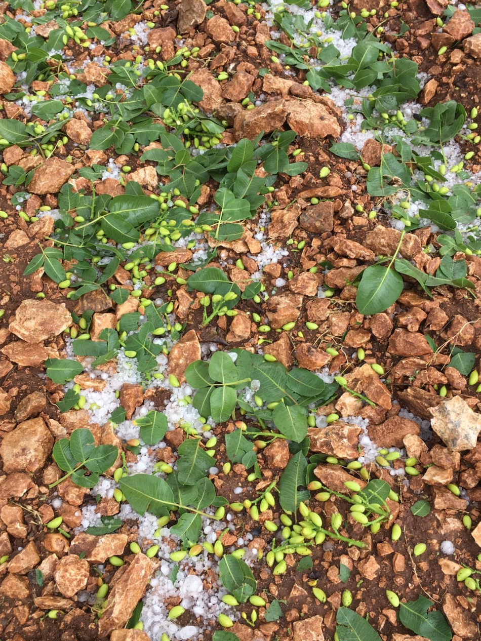 Dolu Urfa'yı Fena Vurdu