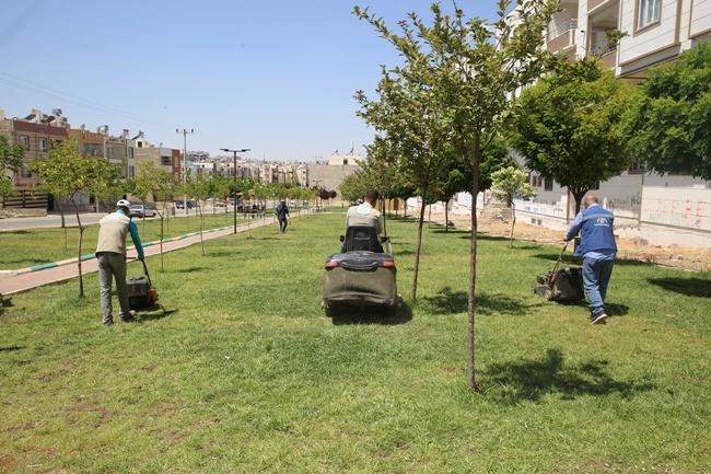 Haliliye'nin Parklarında Her Mevsim Bahar