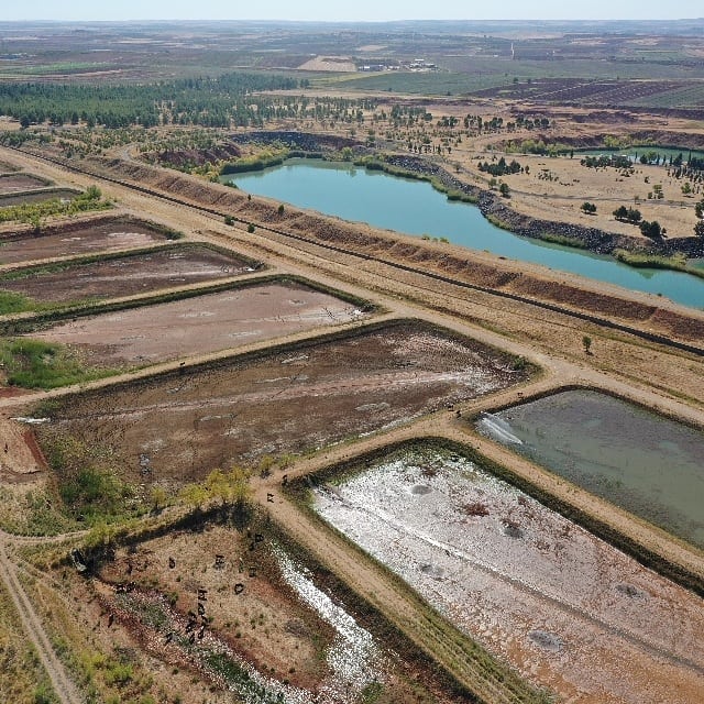 DSİ Şanlıurfa'da 10 Milyon Yavru Balık Üretti
