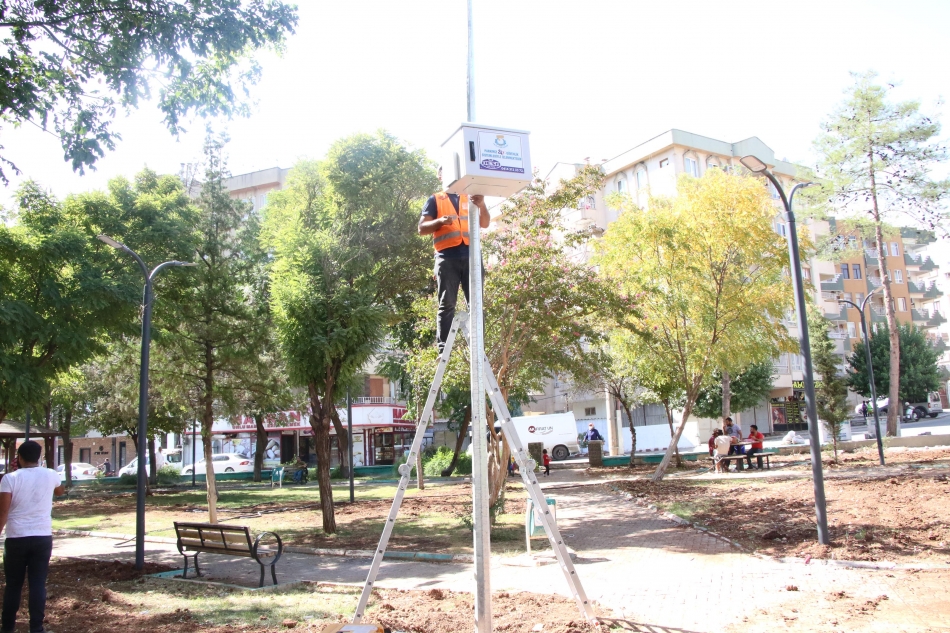 Haliliye'de Parklarda Sonbahar Hazırlığı