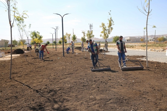 Haliliye'de "Yeşilin Kalbi" İçin Hummalı Çalışma
