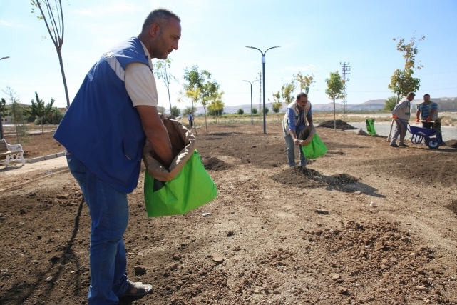 Haliliye'de "Yeşilin Kalbi" İçin Hummalı Çalışma