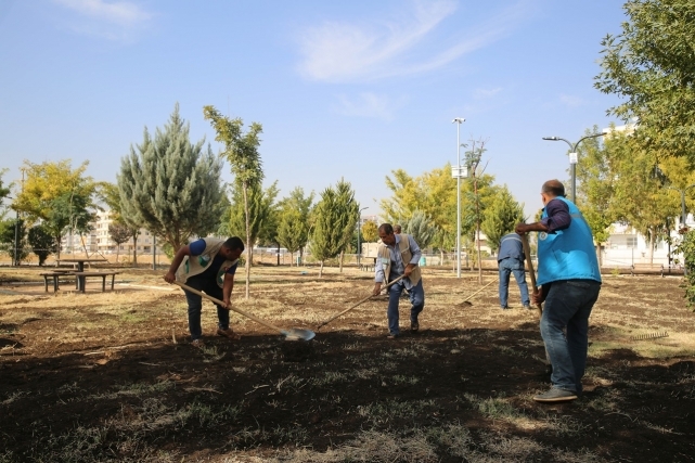 Haliliye'de "Yeşilin Kalbi" İçin Hummalı Çalışma