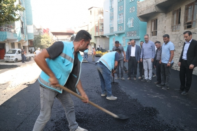 Eyyübiye’de Asfalt Atağı Devam Ediyor