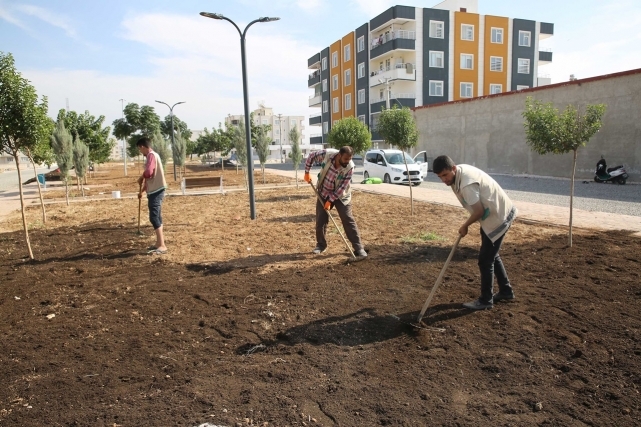 Haliliye'de "Yeşilin Kalbi" İçin Hummalı Çalışma
