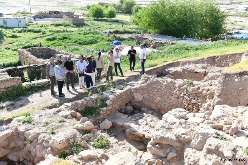 VALİ ŞILDAK'TAN MÜJDELİ HABER