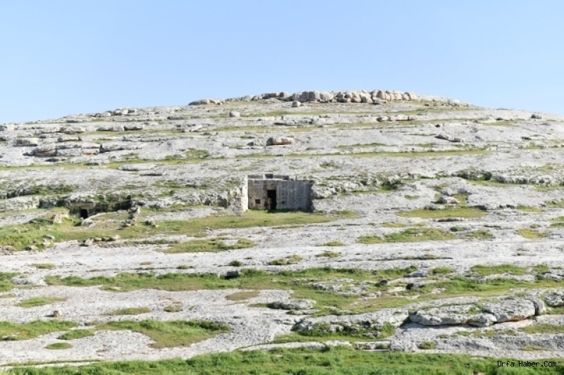 VALİ ŞILDAK'TAN MÜJDELİ HABER