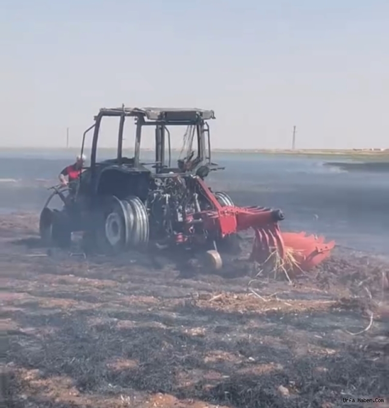SİVEREK'TE 300 DÖNÜMLÜK TARLA VE BİR TRAKTÖR KÜL OLDU