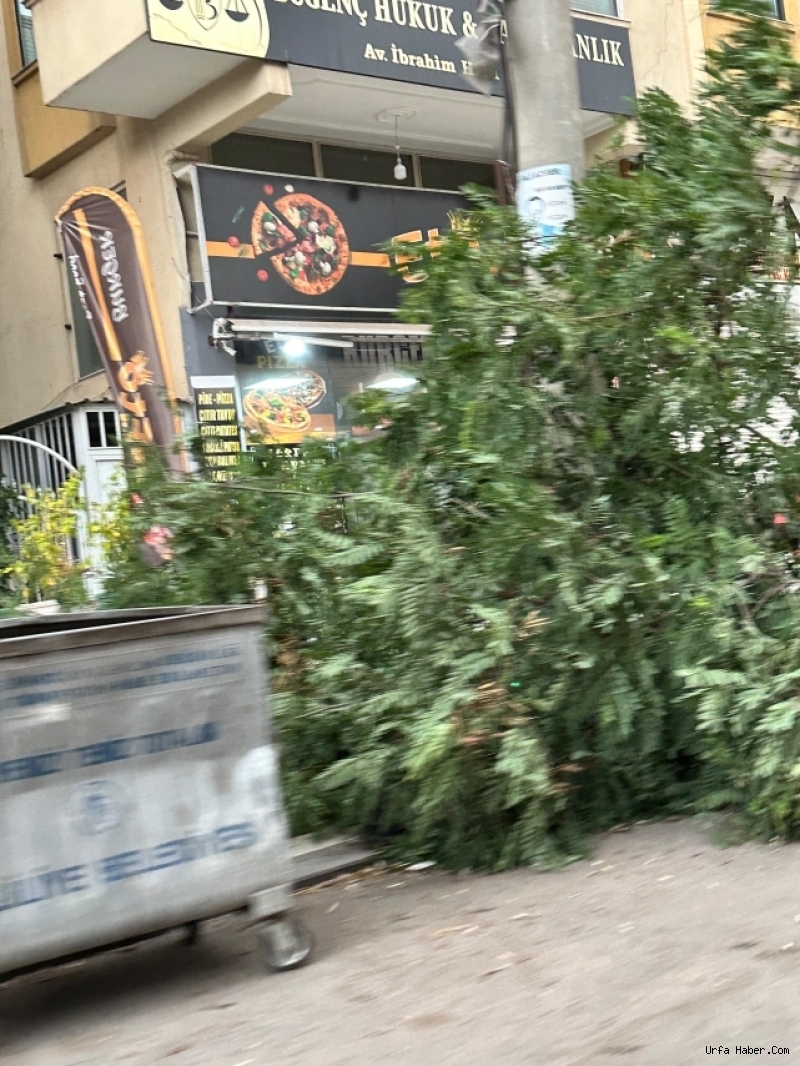ŞANLIURFA'DA TOZ BULUTLARIYLA GELEN ŞİDDETLİ FIRTINA HAYATI FELÇ ETTİ