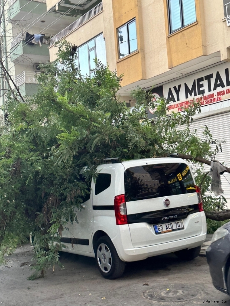 ŞANLIURFA'DA TOZ BULUTLARIYLA GELEN ŞİDDETLİ FIRTINA HAYATI FELÇ ETTİ