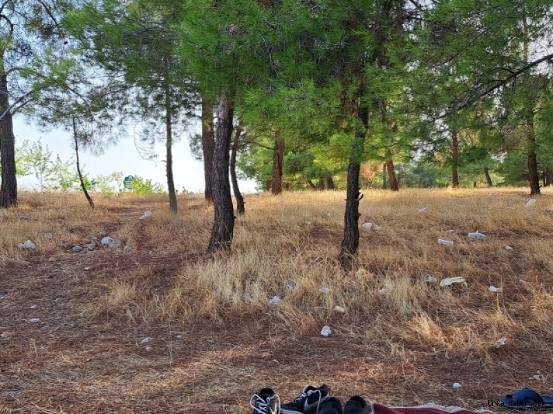 ŞANLIURFA'DA KURBAN BAYRAMI PİKNİKLERİ ÇEVRE KİRLİLİĞİNE YOL AÇTI