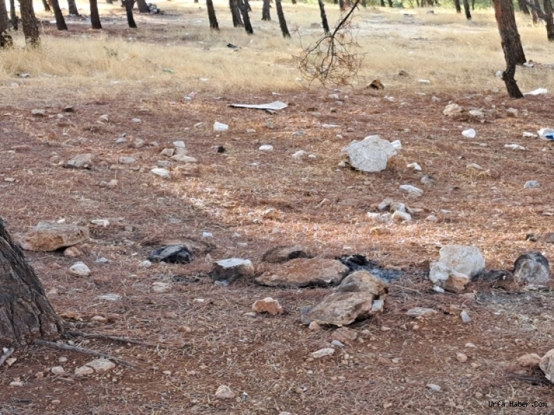 ŞANLIURFA'DA KURBAN BAYRAMI PİKNİKLERİ ÇEVRE KİRLİLİĞİNE YOL AÇTI