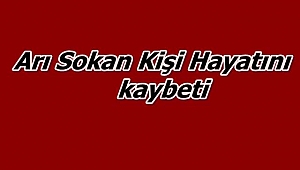 Arı sokan kişi hayatını kaybetti