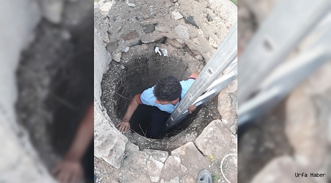 Mardin'de keçi kurtarma operasyonu