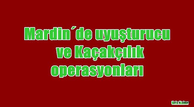 Mardin'de uyuşturucu ve kaçakçılık operasyonları