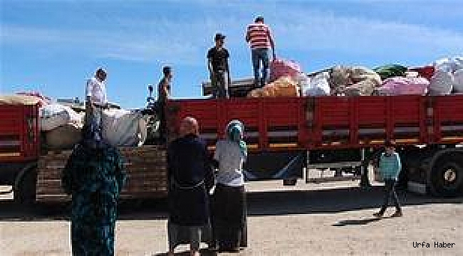 Mevsimlik tarım işçisi göçü başladı