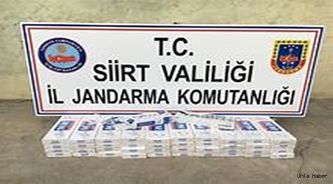 Siirt'te kaçak sigara operasyonu
