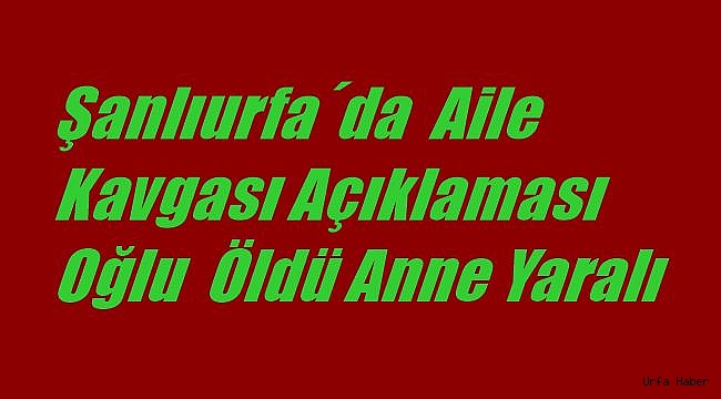 Şanlıurfa'da aile kavgası: oğlu öldü, anne yaralı