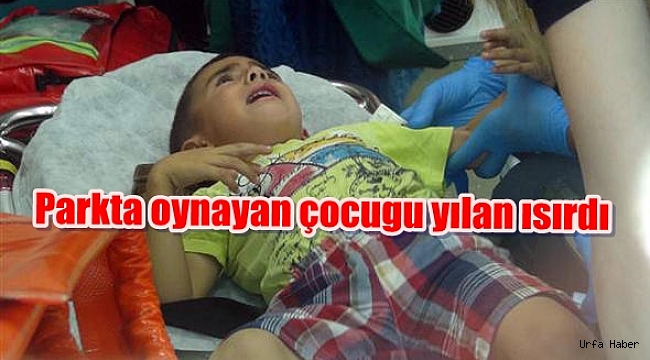 Şanlıurfa'da parkta oynayan çocuğu yılan ısırdı