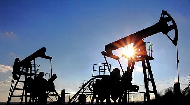 Petrol Arama Ruhsatı Kararı