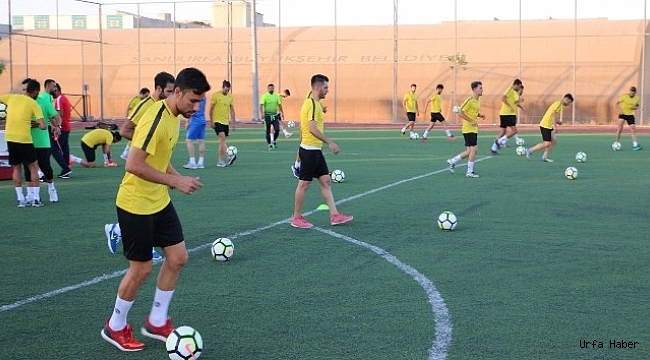 Şanlıurfa Büyükşehir transferlerini tamamladı