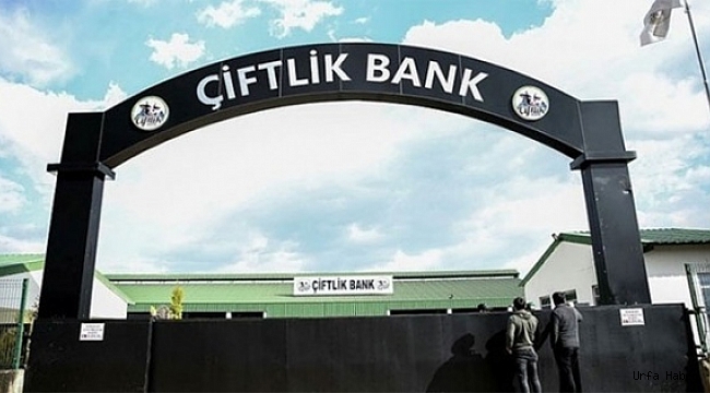 Çiftlikbank soruşturmasında flaş gelişme! Çember daraldı...