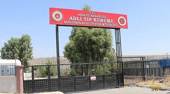 Şanlıurfa'da elektrik can aldı