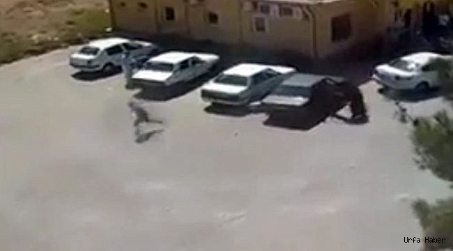 Şanlıurfa’daki ’kan davası’ cinayeti kamerada