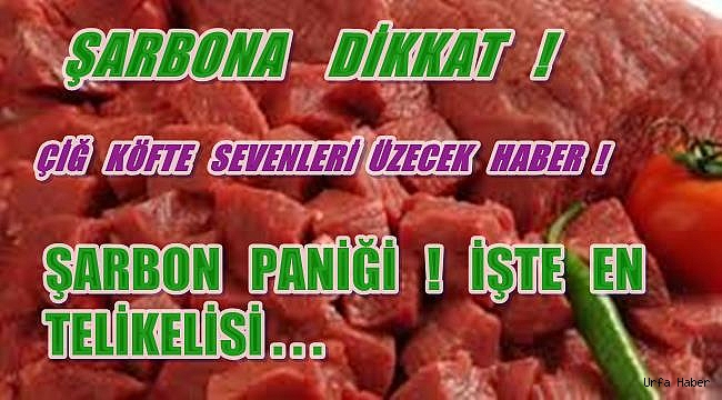 Şarbon bıçaktan bile bulaşabiliyor!