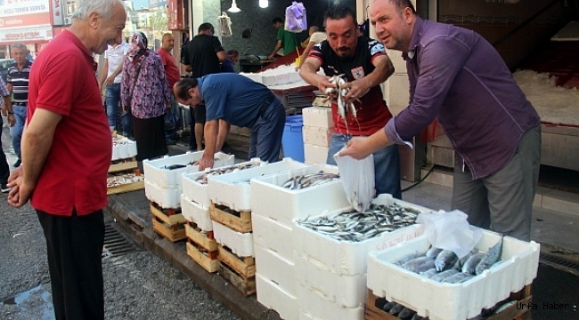 Yasak sona erdi! Adeta hücum ettiler