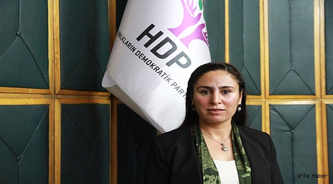 Sürücü, Hilvan'daki taş ocağını TBMM'ye taşıdı