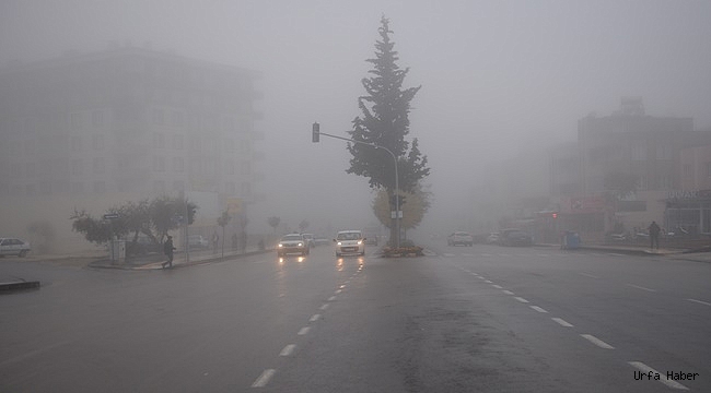 Güneydoğu'da sis