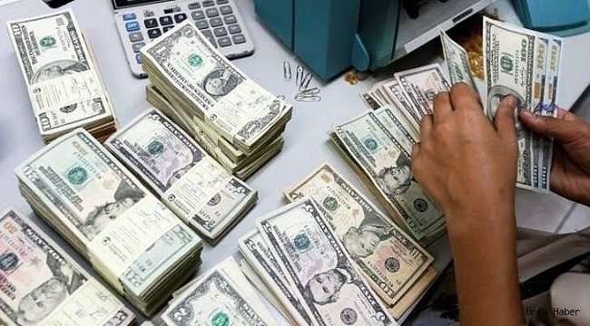 Türkiye dahil 8 ülke dolar kullanmayacak