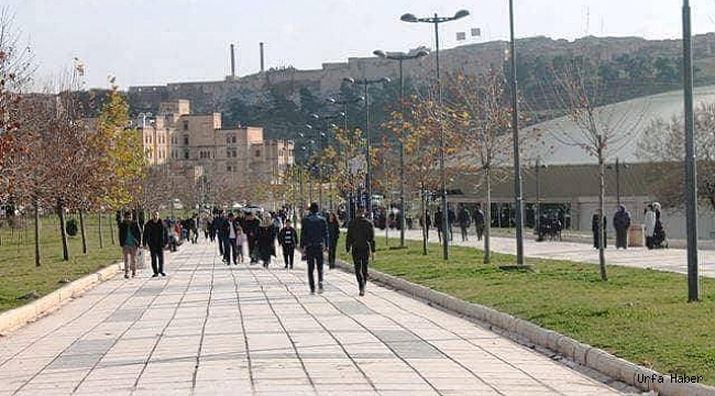 Üniversite mezunu gençler işsizlikten yakınıyor