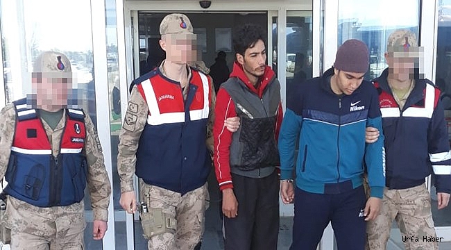 Akçakale'de İki İŞID'li Terörist Yakalandı
