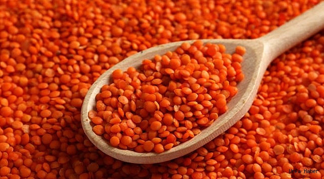Urfa'da mercimek fiyatı belirlendi