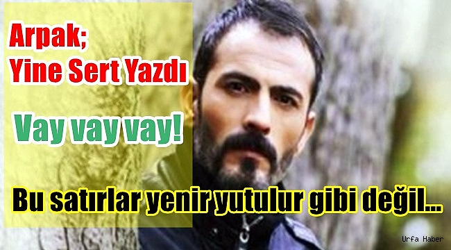 Ekrem Arpak'ın kaleminden yine çarpıcı Urfa gerçekleri...