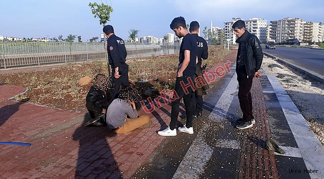 Polis Hortum Hırsızlarına Göz Açtırmadı