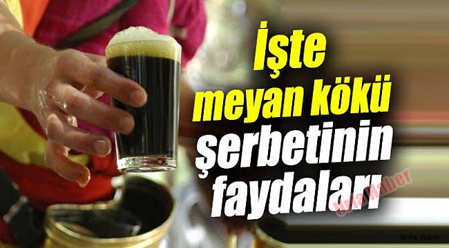 Meyan Şerbetnin Faydaları