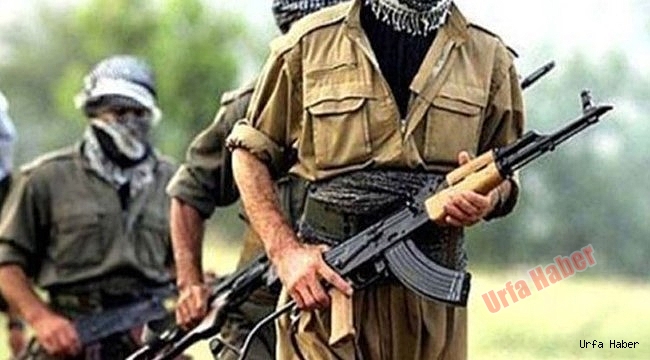 Şanlıurfa'da bir terörist yakalandı