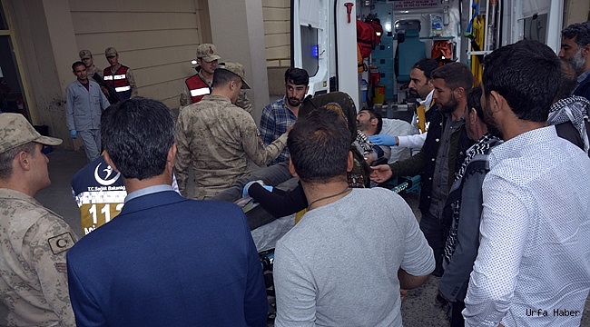 Şanlıurfa'da çobanlar arasında silahlı kavga