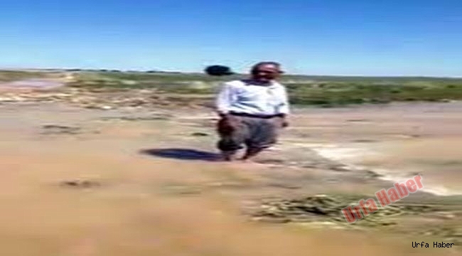 Sulama borusu patlayınca tarlalar su altında kaldı