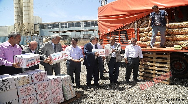 Urfa'dan Suriye'ye 8 Tır Yardım Malzemesi