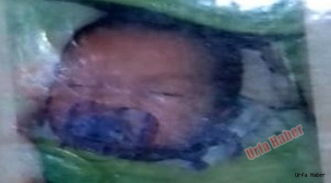 5 aylık bebek yatağında ölü bulundu