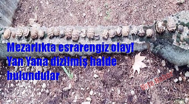 Mezarlıkta esrarengiz olay!