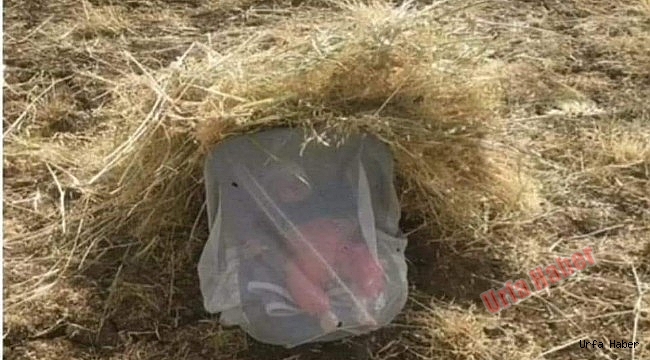 Urfalıları ağlatan fotoğraf