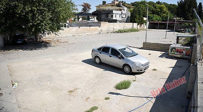 Ceylanpınar Belediyesinden ücretsiz otopark hizmeti