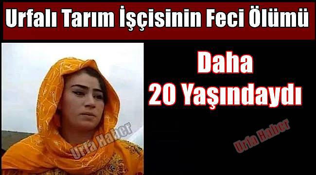 Urfalı Tarım İşçisi Hayatını Kaybetti