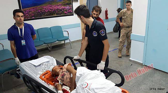 Trafik kazası: 5 yaralı