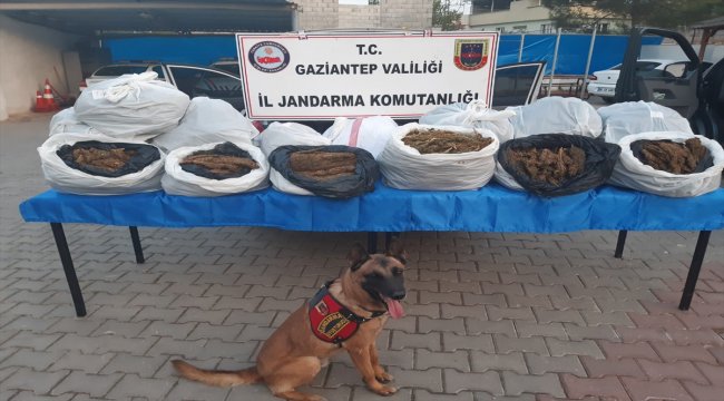 Gaziantep'te uyuşturucu operasyonu